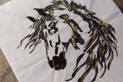 612297318_122214664070277606_218527401601172716_n